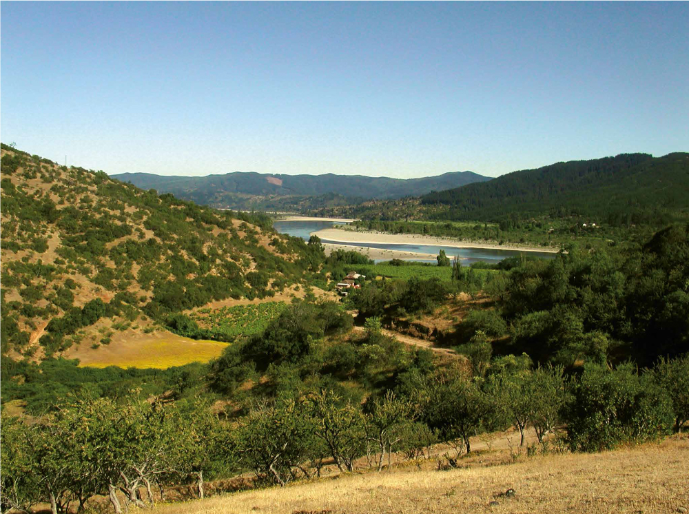 Ruta Patrimonial Valles de Nirivilo y Pichamán: Tradición Vinícola del Maule.
