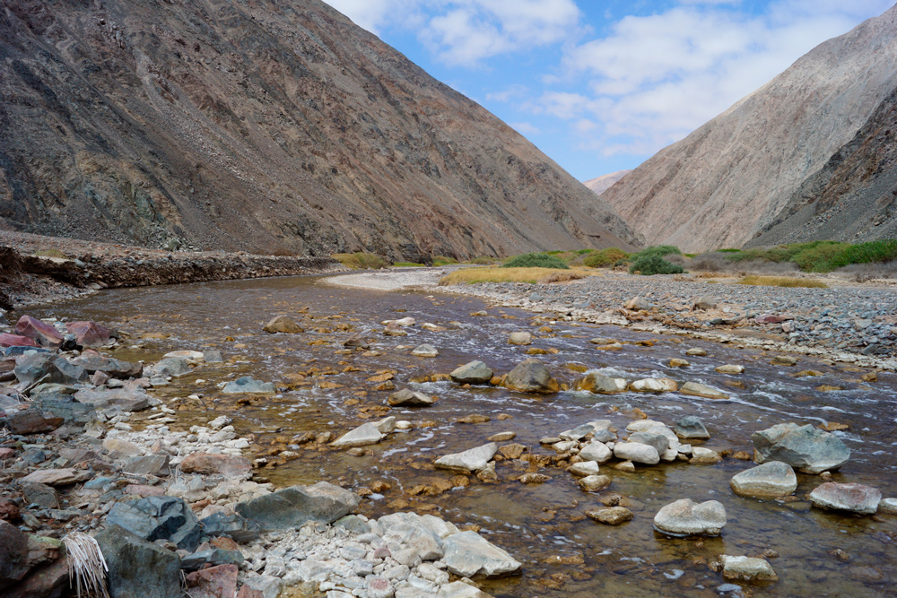 Desembocadura del río Loa: Bien Nacional Protegido