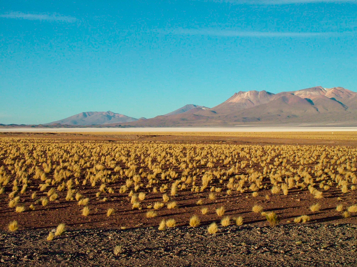 Quebradas de Tarapacá: Andes Altiplánicos