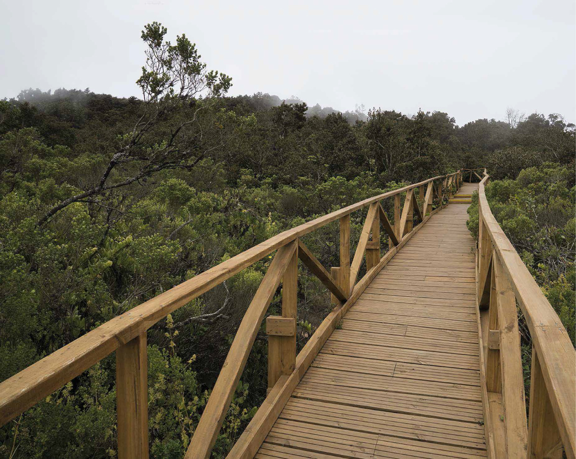 Ruta Patrimonial Fray Jorge: Reserva de la Biósfera