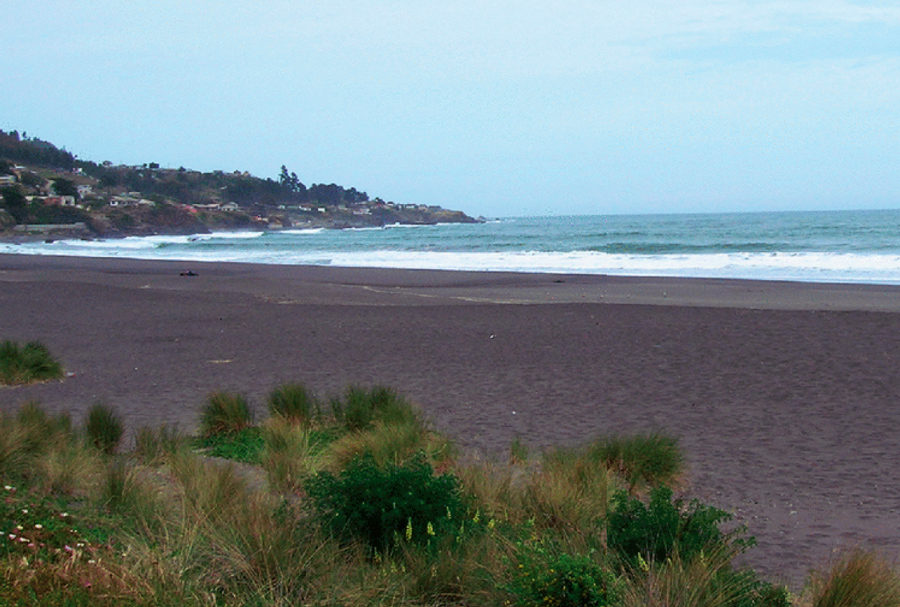Adulto Mejor: El Maule